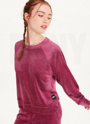 Sweats DKNY Platinum Velour Pullover Femme Violette | France_D0121